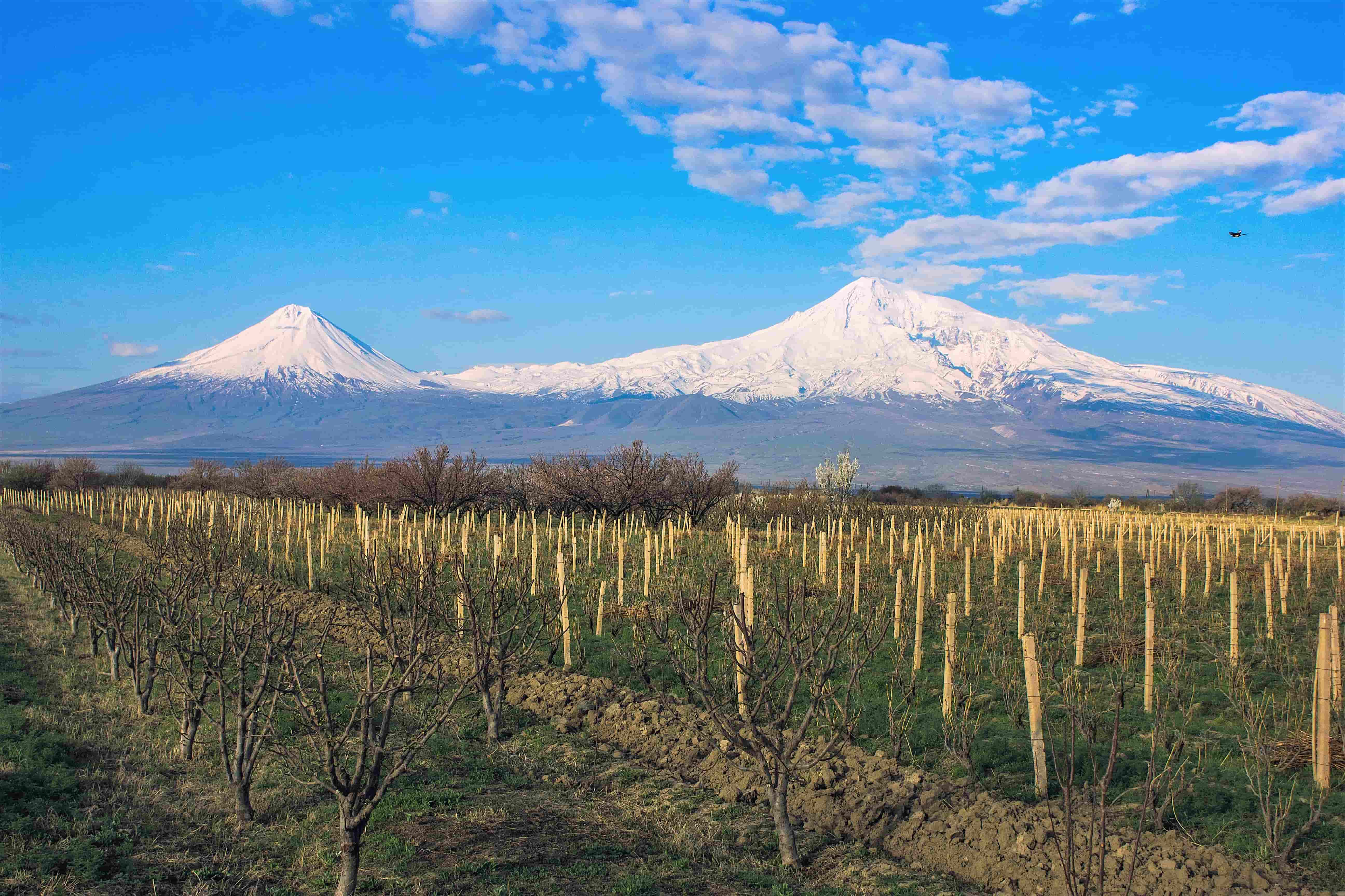 På en reise til Armenia ser du helt sikkert Mount Ararat