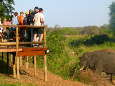 Makutsi Safari Springs