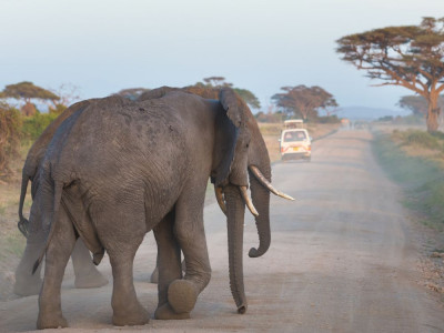 Mpala Safari Lodge